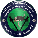 Negele Arsi